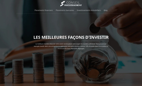 https://www.conseilinvestissement.net